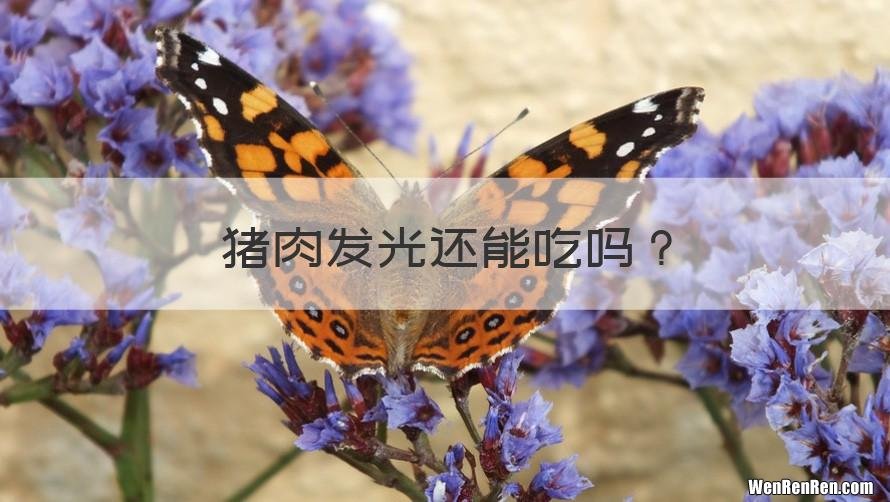 猪肉发光还能吃吗？