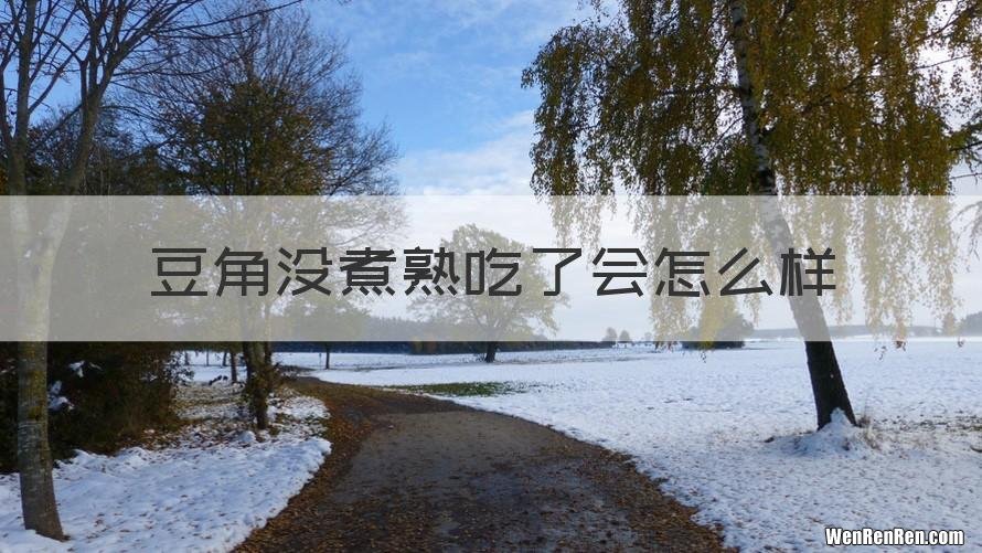 豆角没煮熟吃了会怎么样